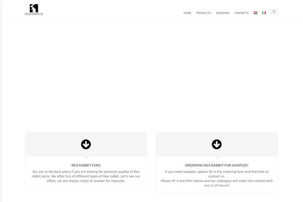 Blaszok Child theme site design template sample