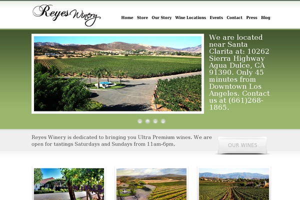 OverALL theme site design template sample