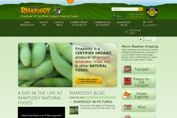 Rhapsody theme site design template sample