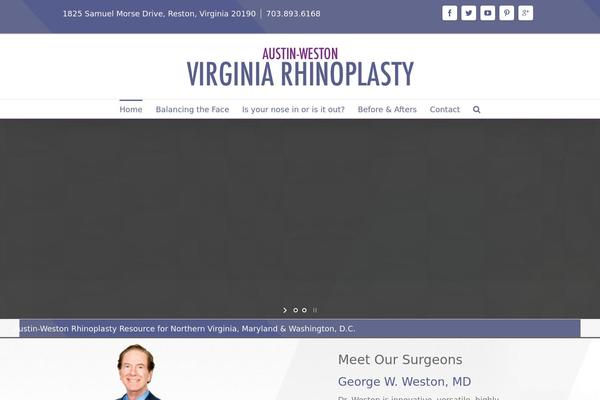 Austin-Weston theme websites examples