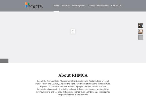Site using Cmsmasters-mega-menu plugin