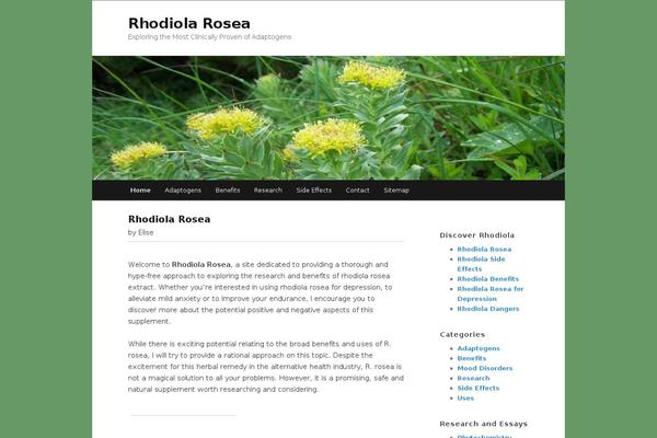 Twentyeleven-child theme site design template sample