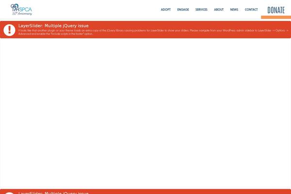 Site using Online-accessibility plugin