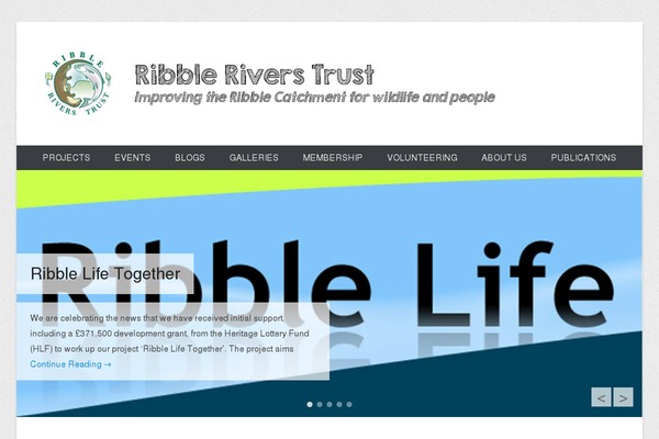 Catch Everest theme site design template sample