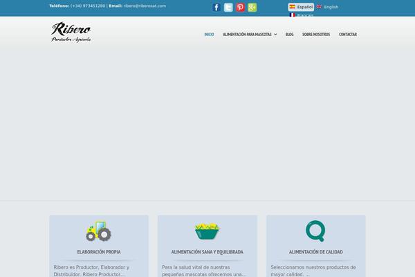 Site using Knews Multilingual Newsletters plugin
