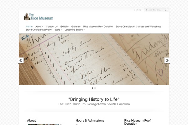 Chameleon theme site design template sample