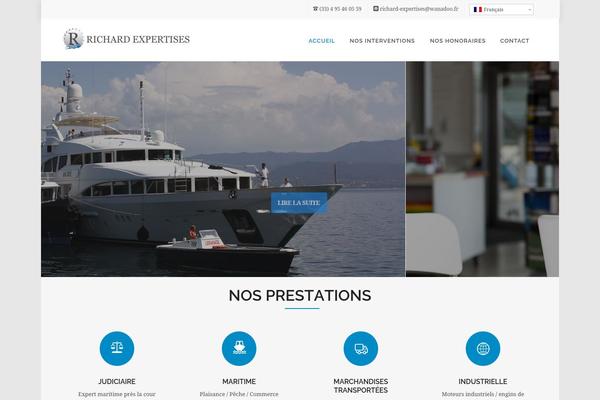 Vision_wp theme site design template sample
