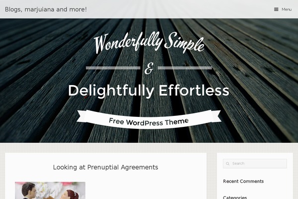 Influence theme site design template sample