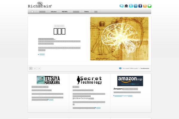 Site using Simple-flash-video plugin