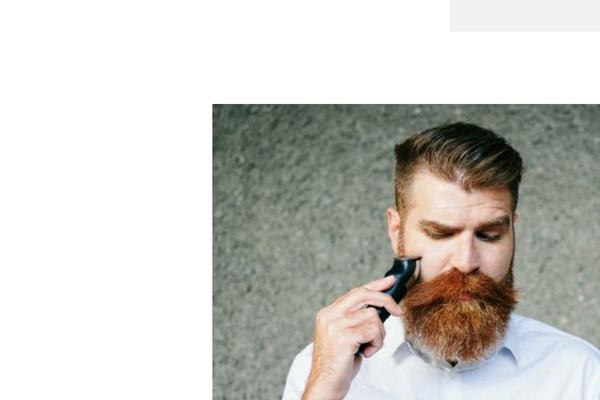 Brand theme site design template sample