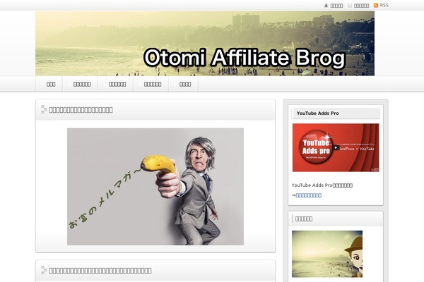 Refine Snow2 theme site design template sample
