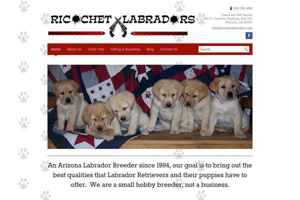 Site using Info Boxes Shortcode and Widget plugin