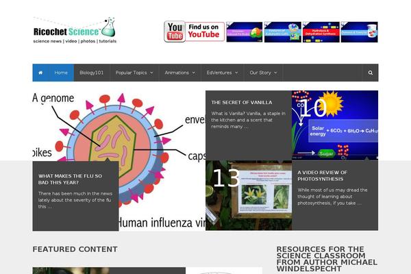 NewsTimes theme site design template sample