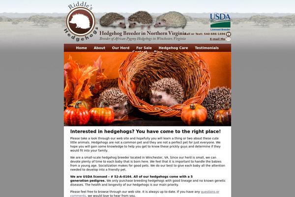 riddleshedgehogs.com site used Abstractia