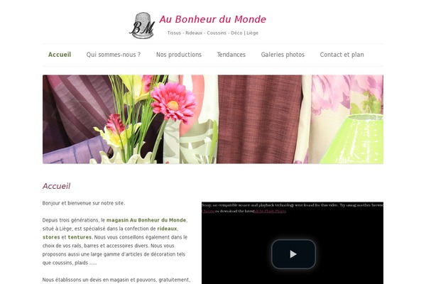 evolve theme site design template sample