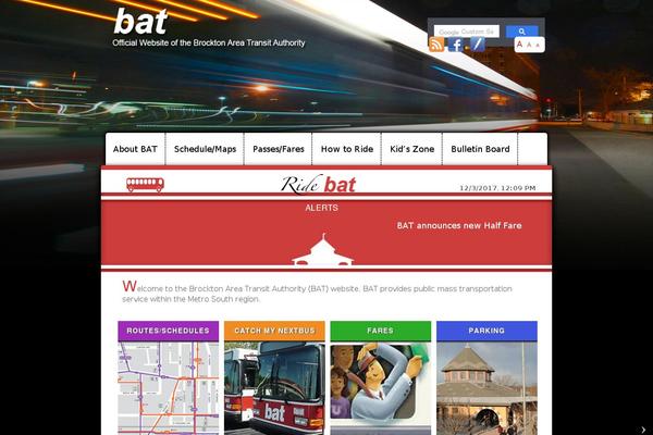 Site using Social Media Icons Widget plugin
