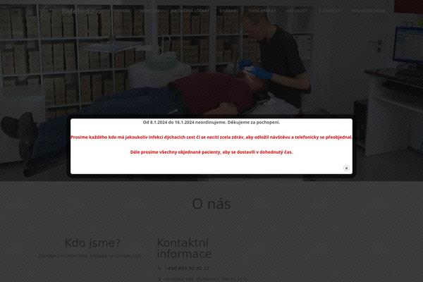 Onetone-pro theme site design template sample