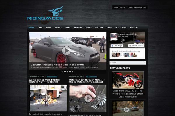 Denitto theme websites examples