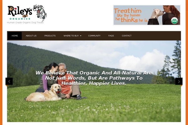 Wp_prayer5-v1.0 theme site design template sample