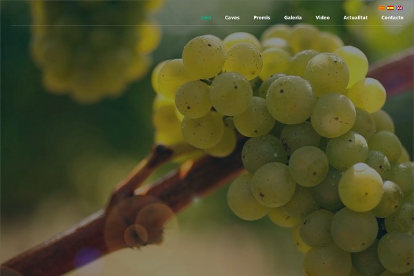 Site using CookieInfo plugin