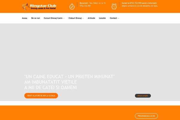 Site using Enfant-theme-extension plugin