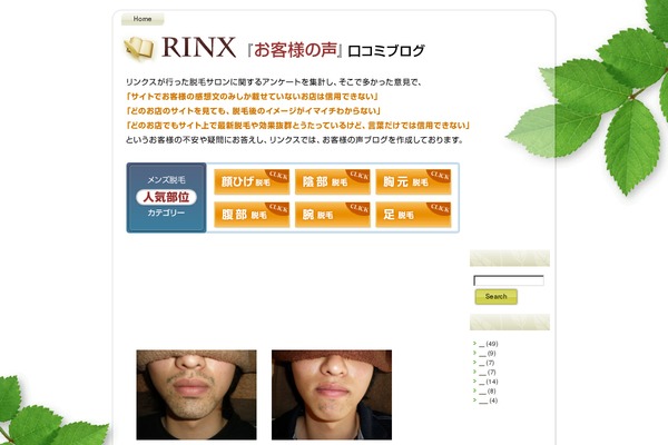 rinx-voice.com site used Leaf_01