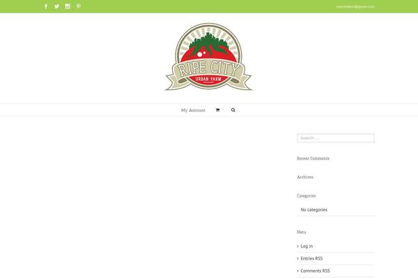 Site using Simply Instagram plugin