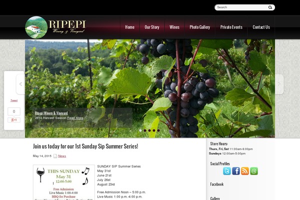 Blackwine theme site design template sample