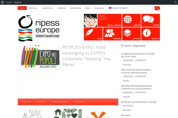 Site using Newsletter-leads plugin