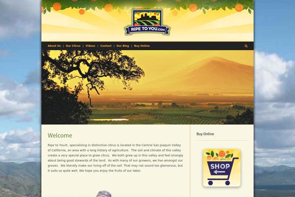 Site using FBF Facebook page Feed Widget plugin