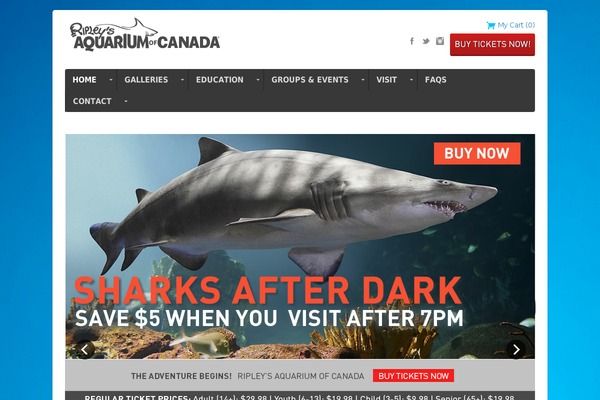 Site using Ditty News Ticker plugin