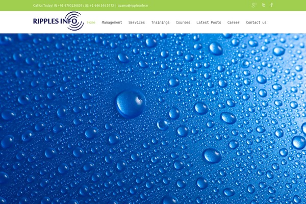 Pindol theme site design template sample