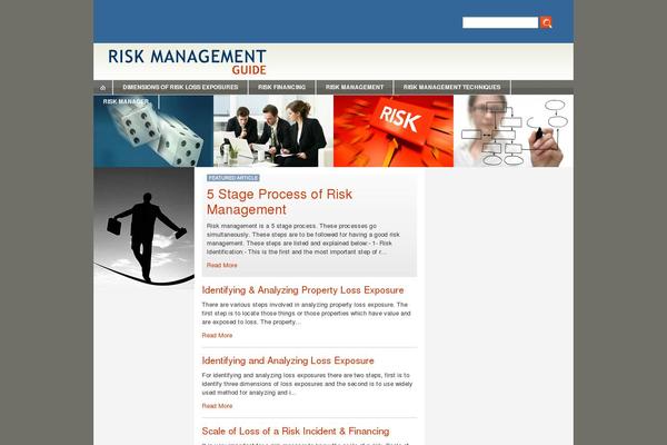 riskmanagementguide.com site used Bap
