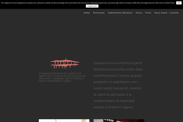 Accent theme site design template sample