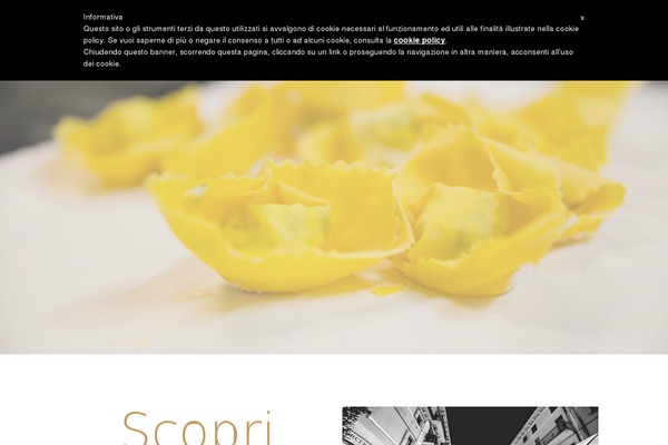 Elision theme site design template sample