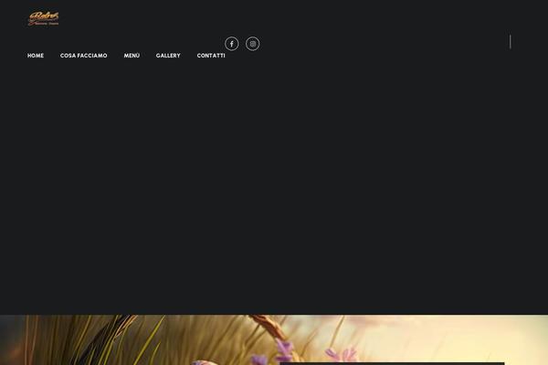 Site using Wp-visitors-widget plugin
