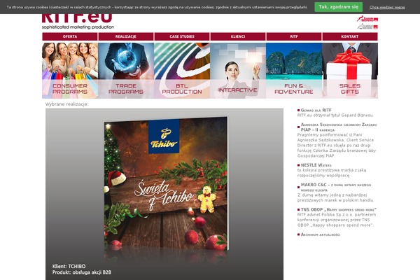Site using WP Facebook Pixel plugin