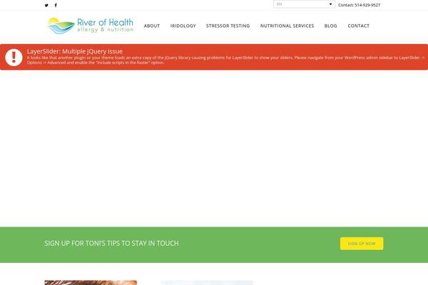 Bridge theme site design template sample