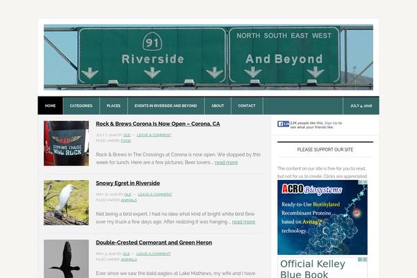 News Pro theme site design template sample