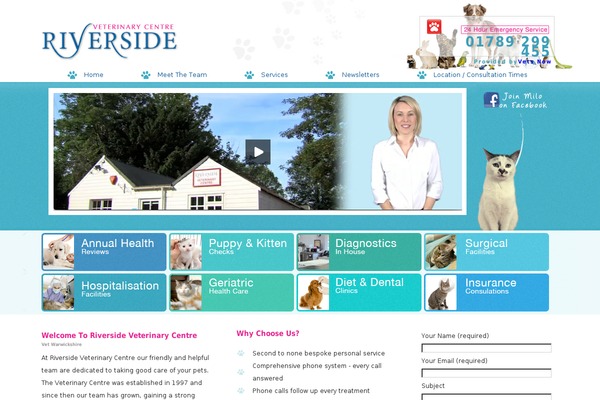 Starkers theme site design template sample
