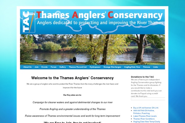 Tac theme site design template sample