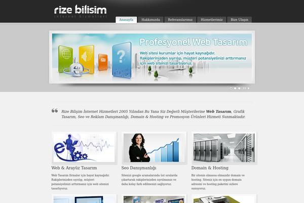 PureVISION theme site design template sample