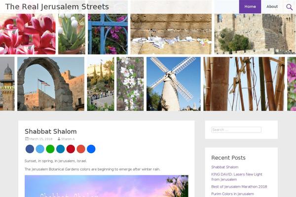 Radiate theme site design template sample