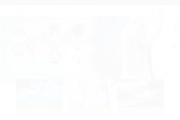 Site using Revolution Slider plugin