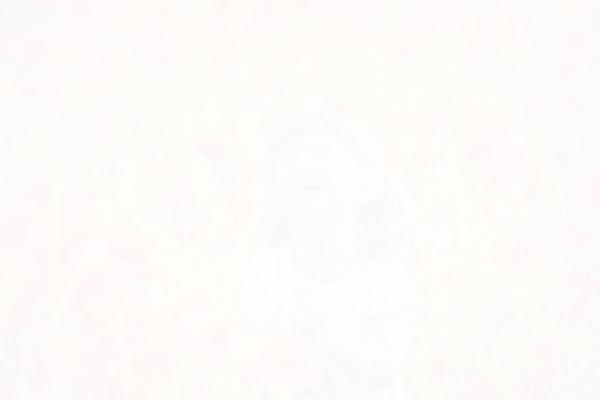 Soho theme site design template sample