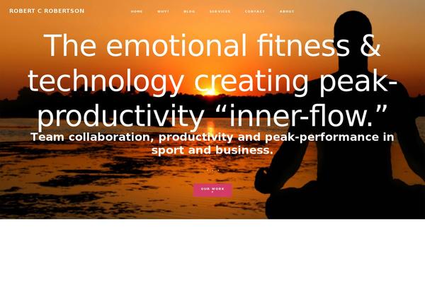 Site using My Twitter Widget plugin