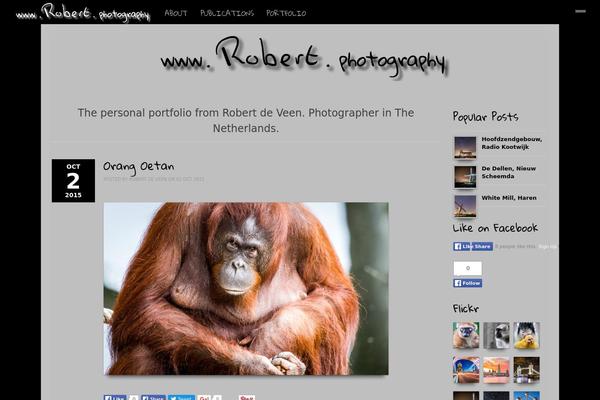 Artemis theme site design template sample