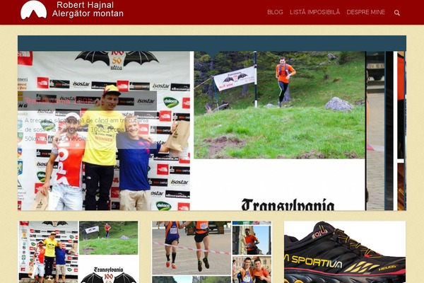 Safarica theme site design template sample