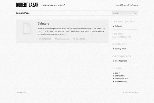 Fast Blog theme site design template sample