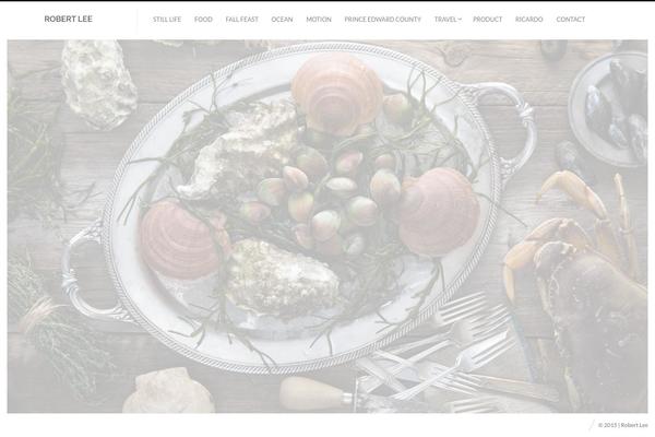 Fluxus theme site design template sample